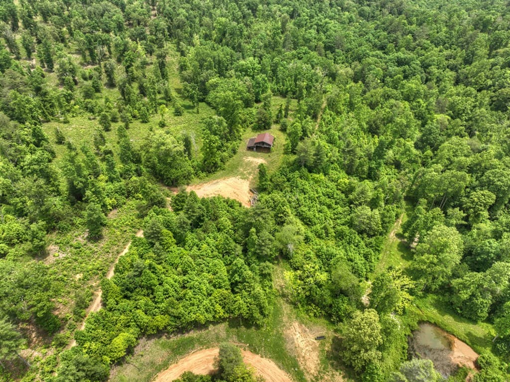 7.5 ac Hidden Acres, Blue Ridge GA 30513 - Photo