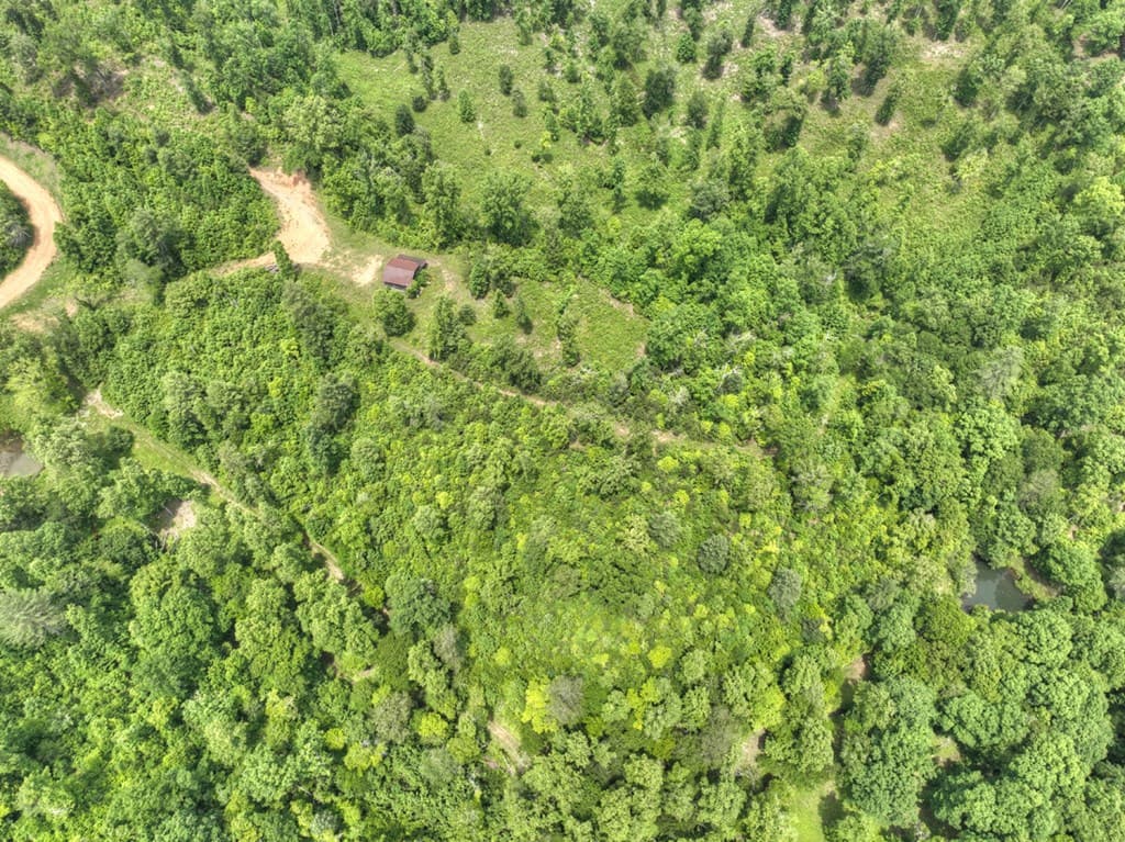 7.5 ac Hidden Acres, Blue Ridge GA 30513 - Photo