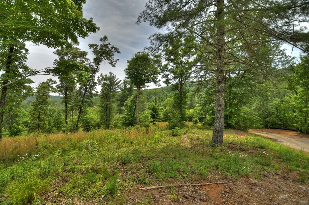 3.20 ac Hidden Acres, Blue Ridge GA 30513 - Photo
