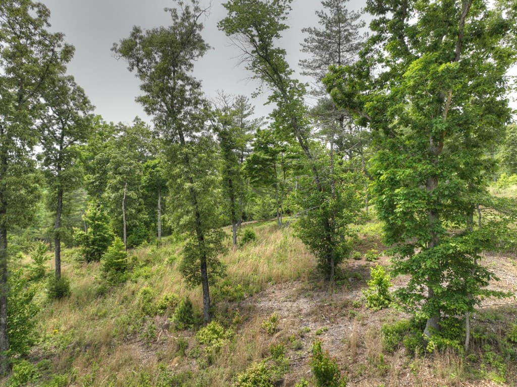 3.20 ac Hidden Acres, Blue Ridge GA 30513 - Photo