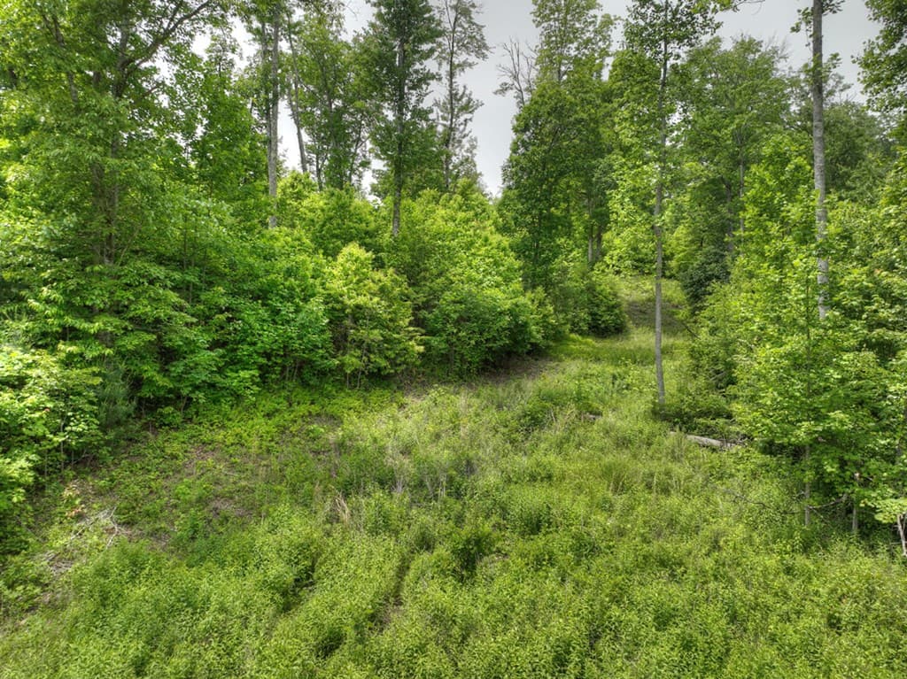 3.20 ac Hidden Acres, Blue Ridge GA 30513 - Photo