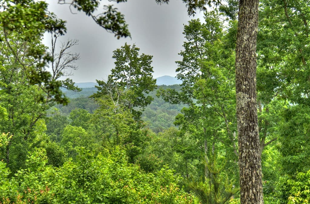 3.20 ac Hidden Acres, Blue Ridge GA 30513 - Photo