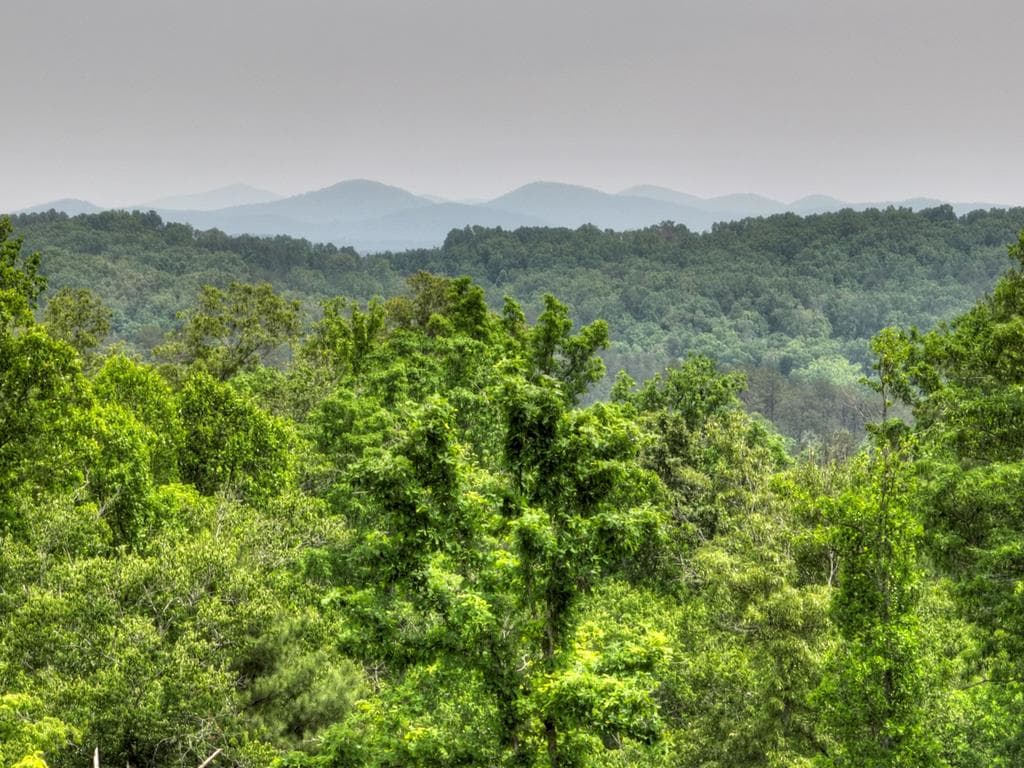 3.20 ac Hidden Acres, Blue Ridge GA 30513 - Primary photo
