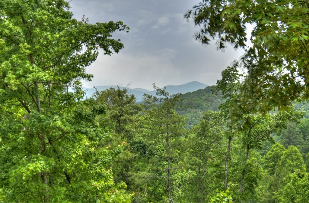 3.20 ac Hidden Acres, Blue Ridge GA 30513 - Photo