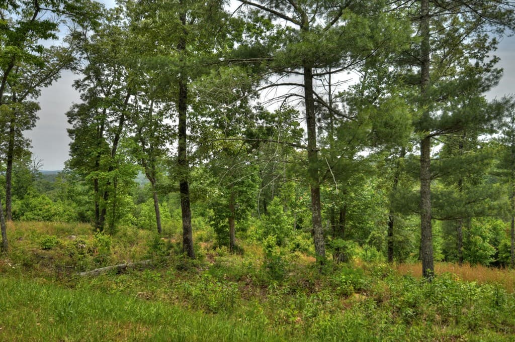 3.20 ac Hidden Acres, Blue Ridge GA 30513 - Photo