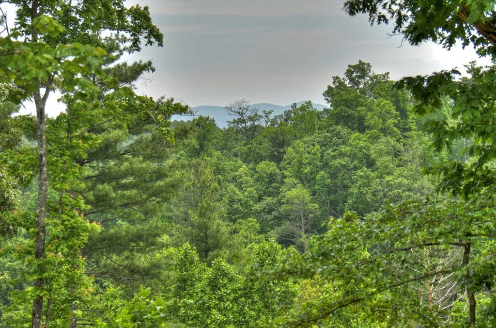 3.20 ac Hidden Acres, Blue Ridge GA 30513 - Photo