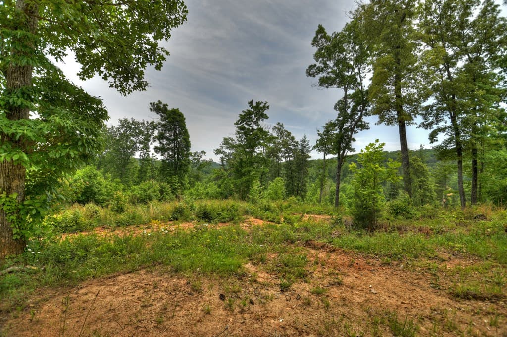 3.20 ac Hidden Acres, Blue Ridge GA 30513 - Photo