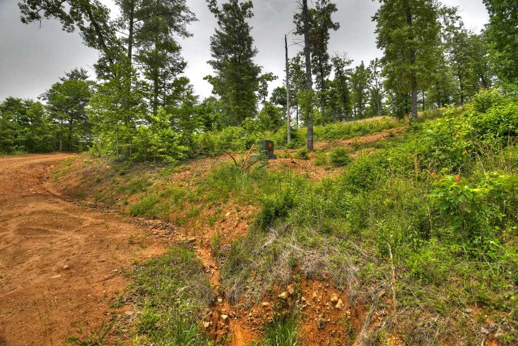 3.20 ac Hidden Acres, Blue Ridge GA 30513 - Photo