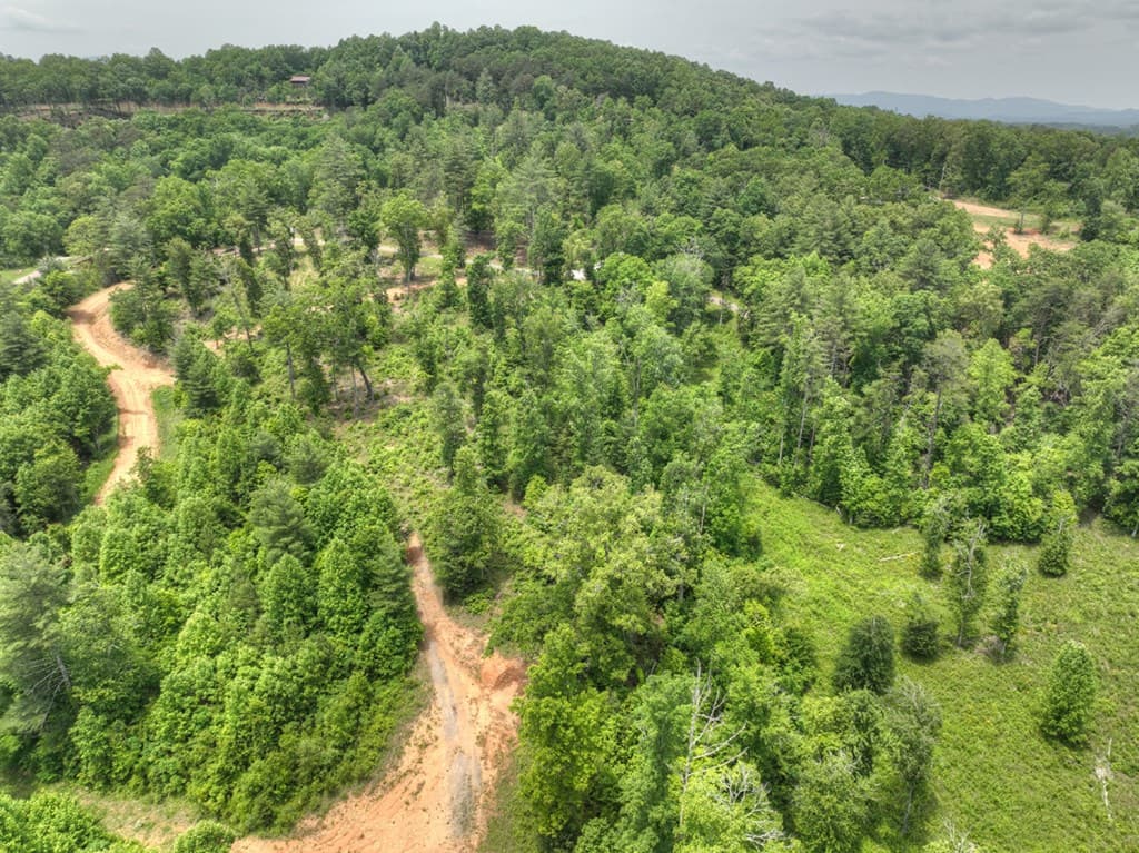 3.20 ac Hidden Acres, Blue Ridge GA 30513 - Photo