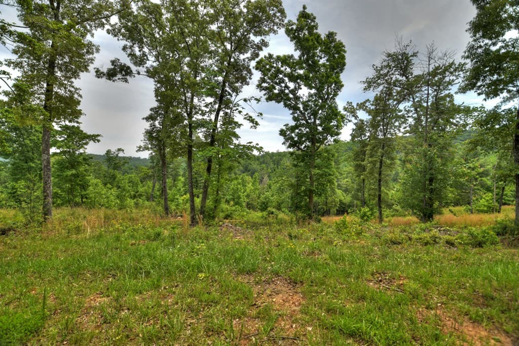 3.20 ac Hidden Acres, Blue Ridge GA 30513 - Photo