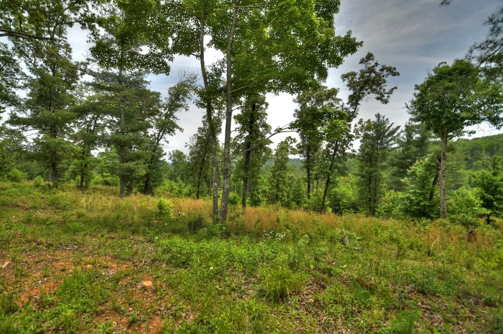 3.20 ac Hidden Acres, Blue Ridge GA 30513 - Photo