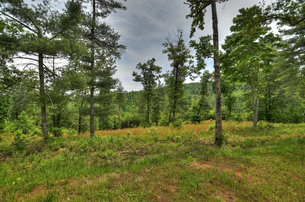 3.20 ac Hidden Acres, Blue Ridge GA 30513 - Photo