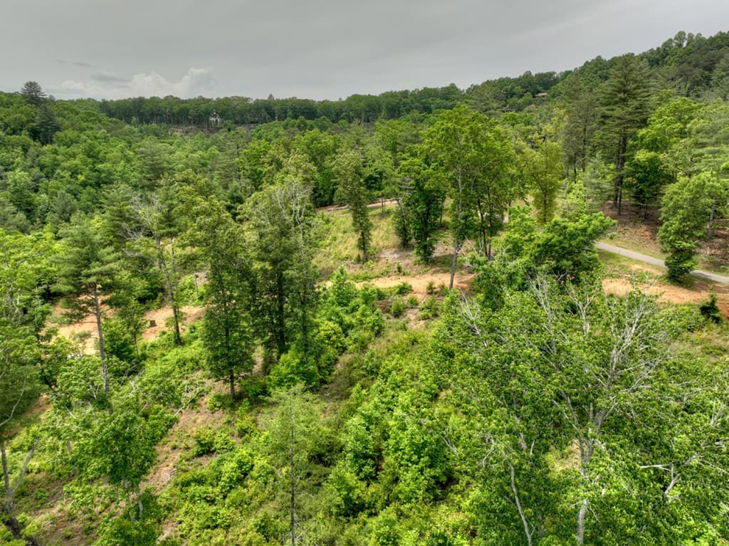 3.20 ac Hidden Acres, Blue Ridge GA 30513 - Photo