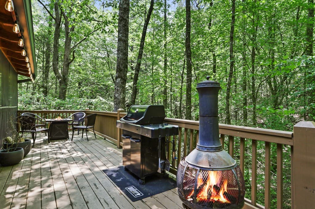 189 Cherry Lake Drive, Blue Ridge GA 30513 - Photo