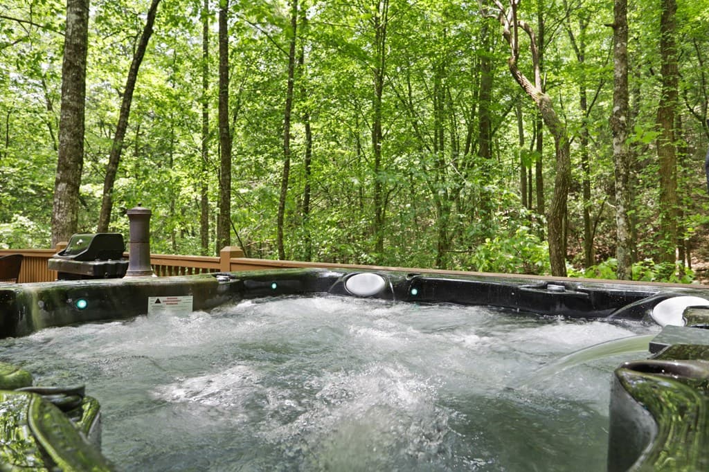 189 Cherry Lake Drive, Blue Ridge GA 30513 - Photo