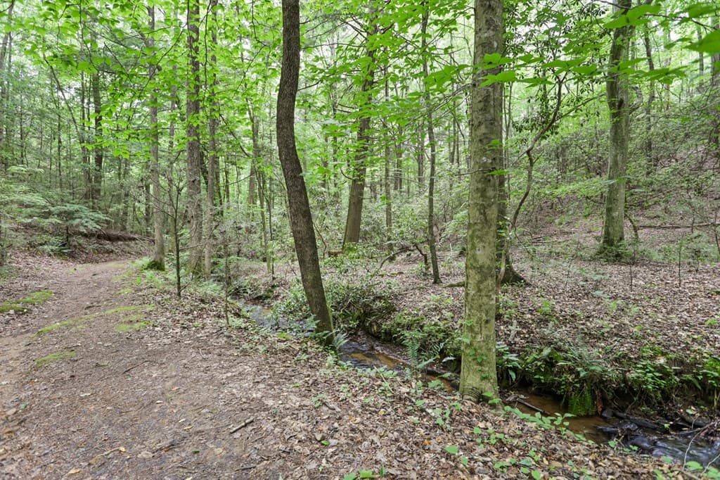 189 Cherry Lake Drive, Blue Ridge GA 30513 - Photo