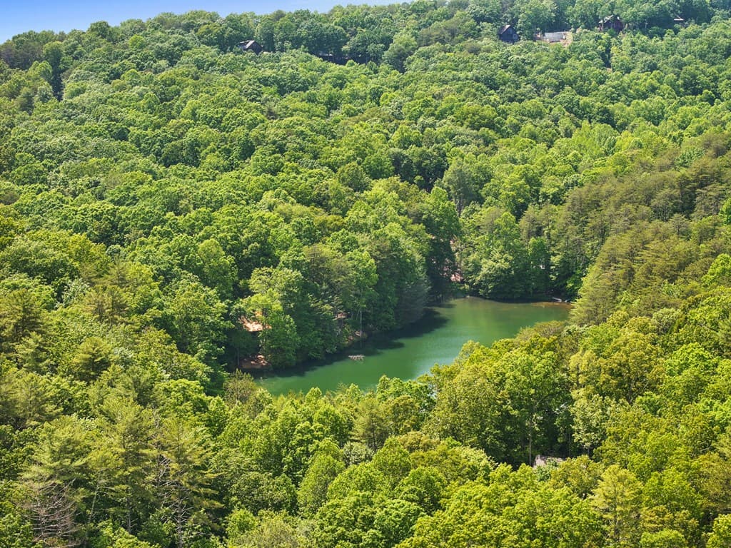 189 Cherry Lake Drive, Blue Ridge GA 30513 - Photo