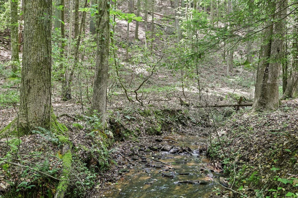 189 Cherry Lake Drive, Blue Ridge GA 30513 - Photo