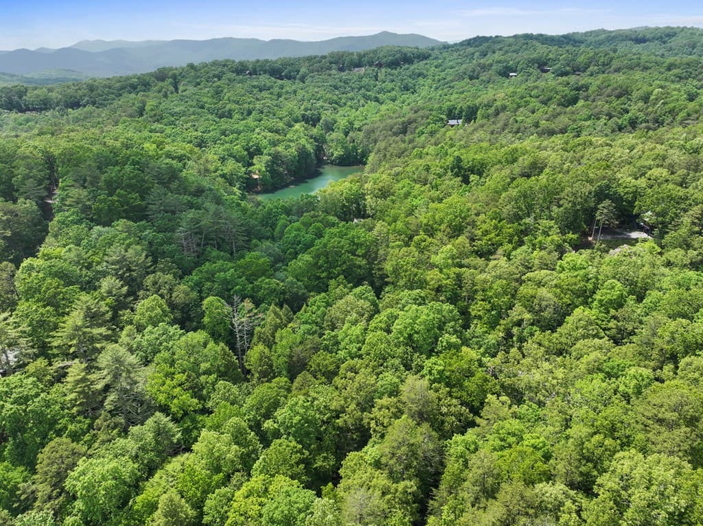 189 Cherry Lake Drive, Blue Ridge GA 30513 - Photo