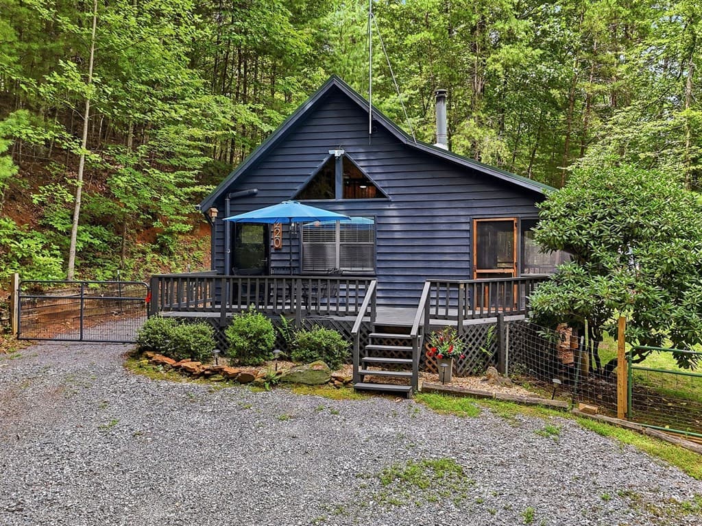 220 Oak Loop, Mineral Bluff GA 30559 - Photo