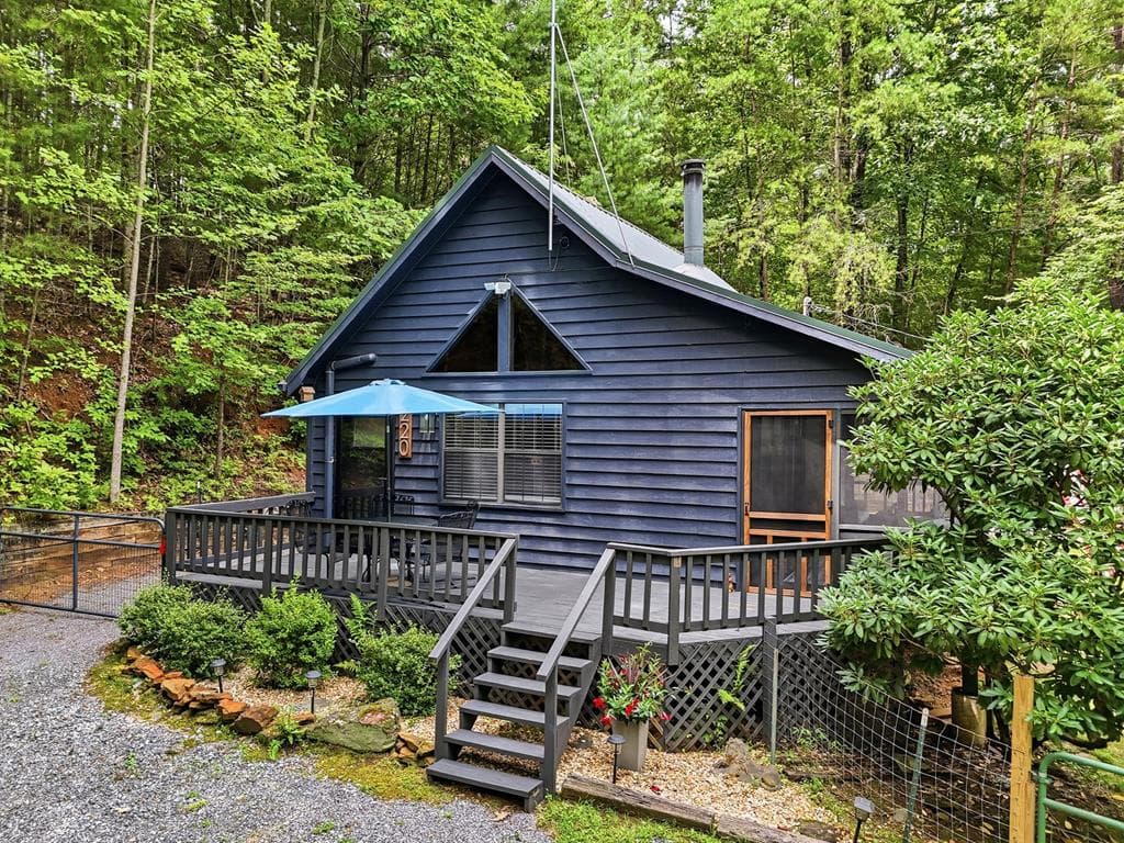 220 Oak Loop, Mineral Bluff GA 30559 - Photo
