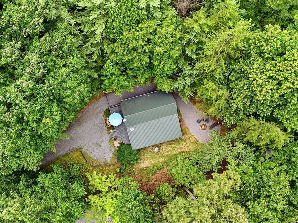 220 Oak Loop, Mineral Bluff GA 30559 - Photo