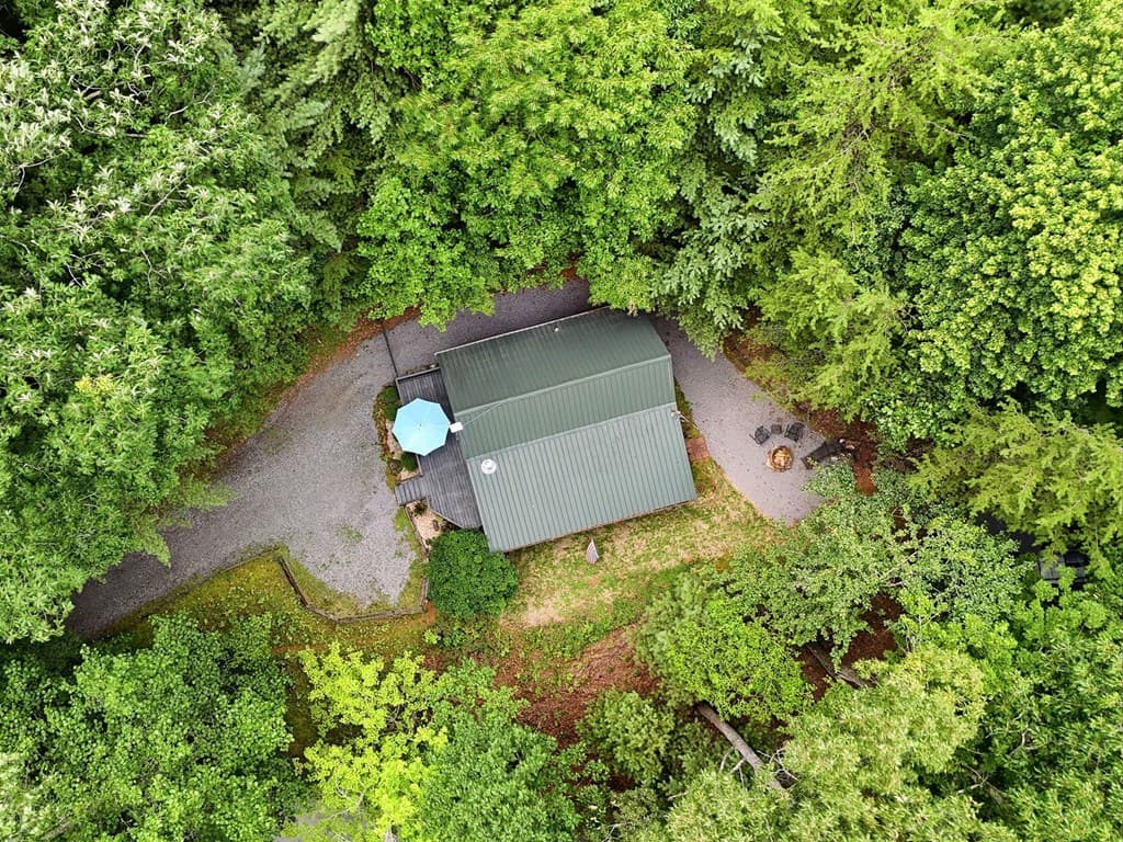 220 Oak Loop, Mineral Bluff GA 30559 - Photo