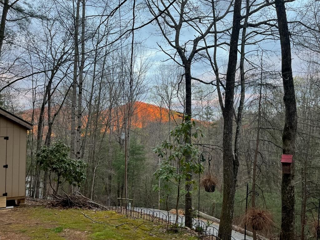 220 Oak Loop, Mineral Bluff GA 30559 - Photo