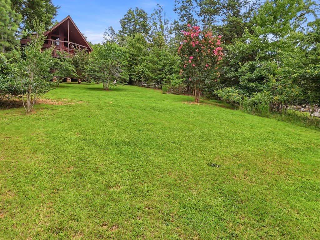 516 Endless View Road, Mineral Bluff GA 30559 - Photo