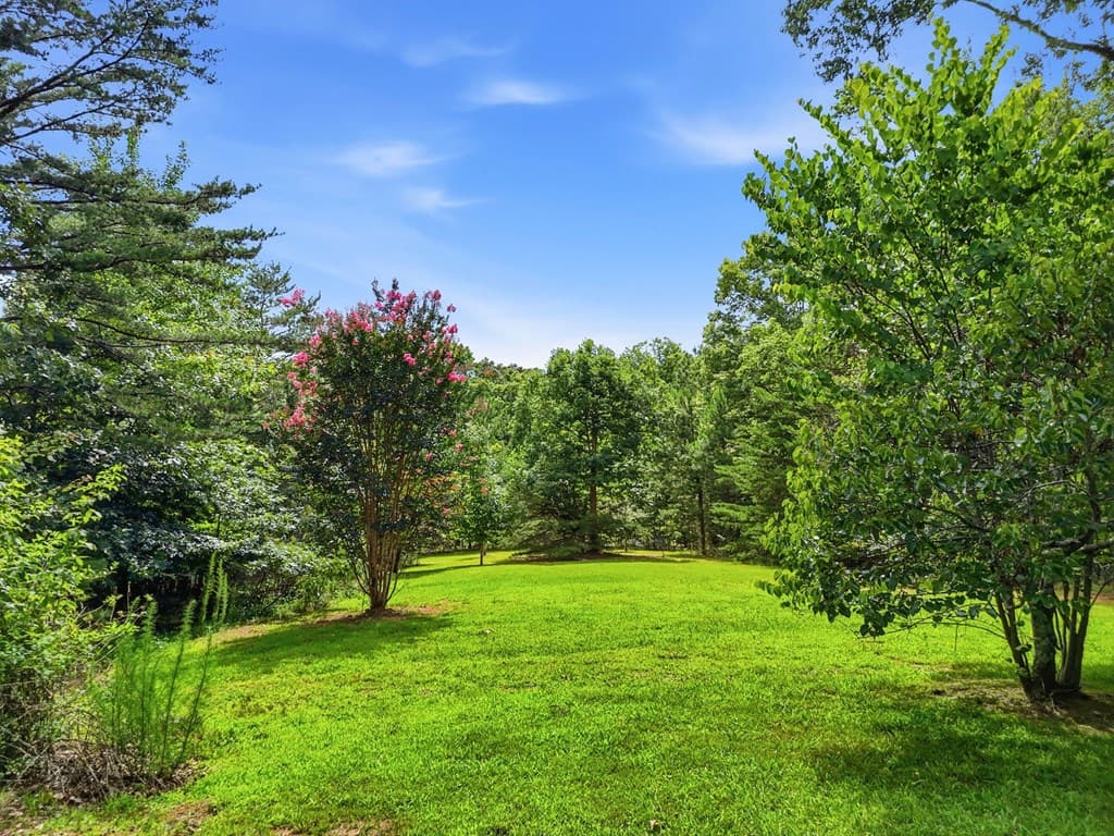 516 Endless View Road, Mineral Bluff GA 30559 - Photo