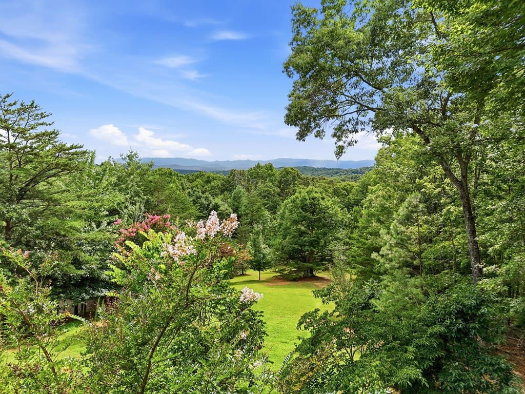 516 Endless View Road, Mineral Bluff GA 30559 - Photo