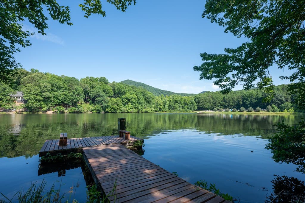 0 Sassafras Mountain Trail, Jasper GA 30143 - Photo