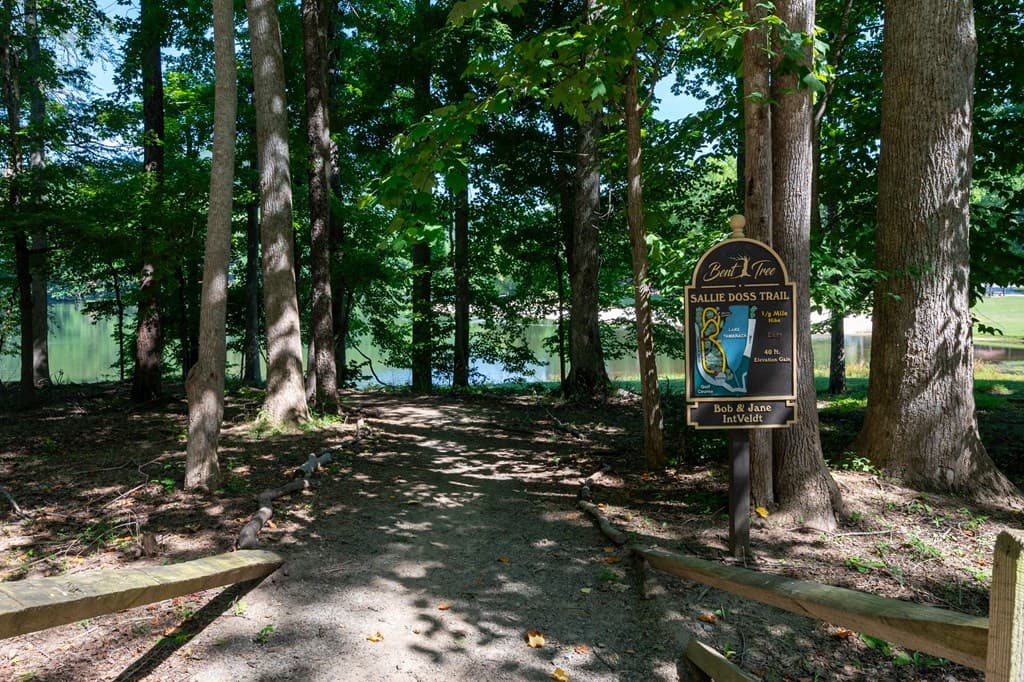 0 Sassafras Mountain Trail, Jasper GA 30143 - Photo