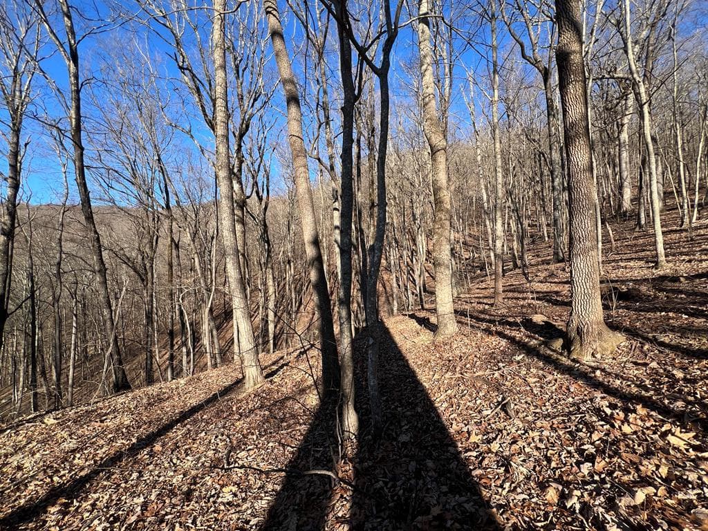 0 Sassafras Mountain Trail, Jasper GA 30143 - Photo