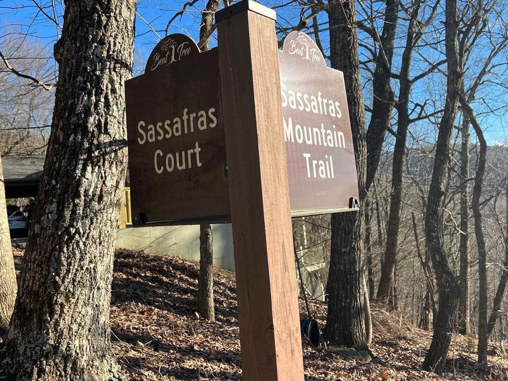 0 Sassafras Court, Jasper GA 30143 - Photo