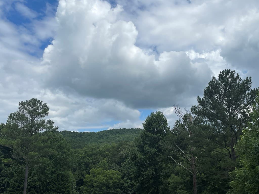 Lot 1 Pinehurst, Blairsville GA 30512 - Photo