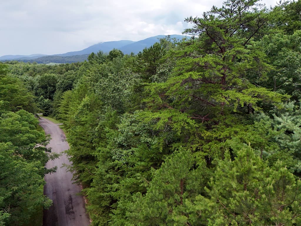LOT 5 East Ridge Lane, Ellijay GA 30540 - Photo