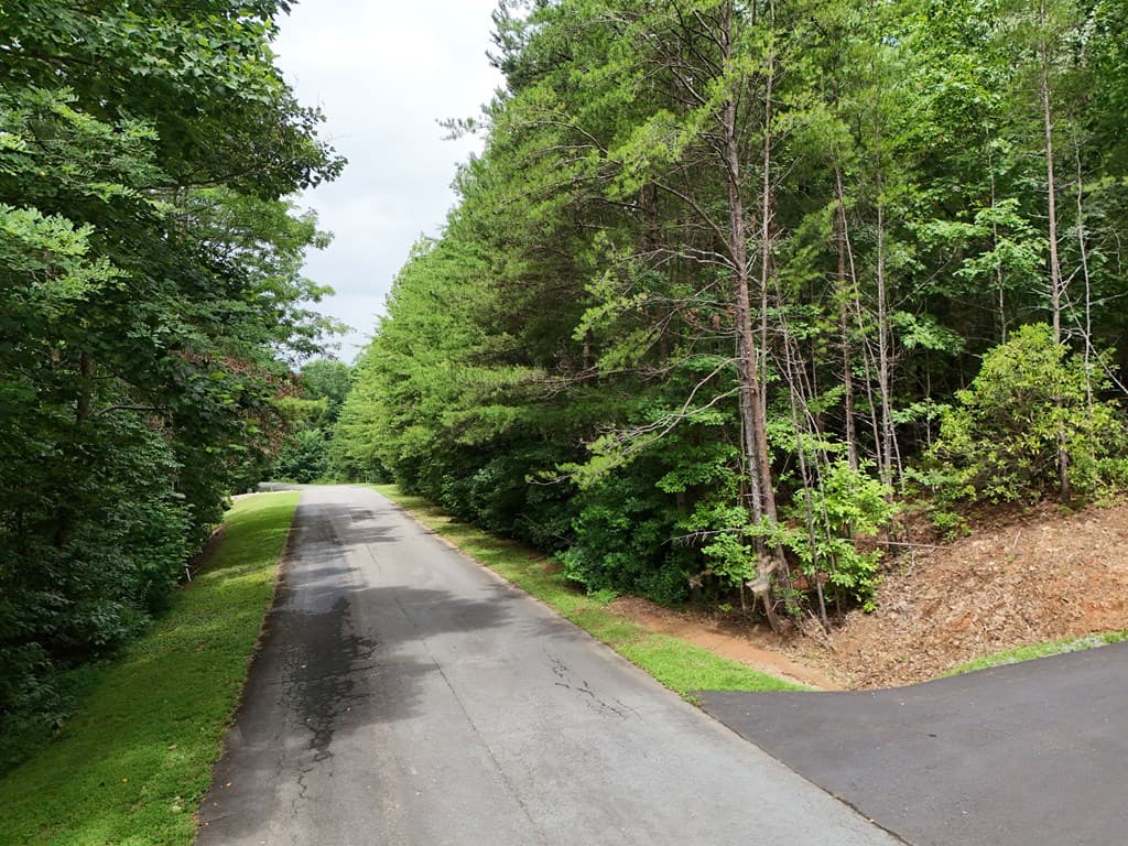 LOT 5 East Ridge Lane, Ellijay GA 30540 - Photo