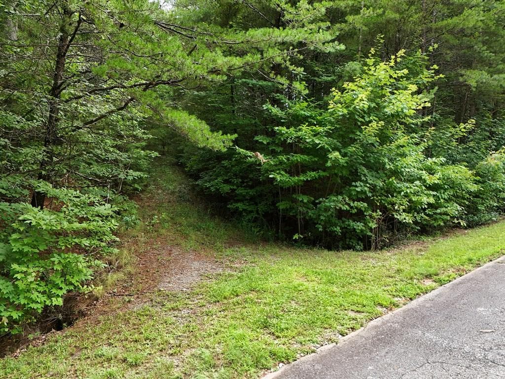 LOT 5 East Ridge Lane, Ellijay GA 30540 - Primary photo