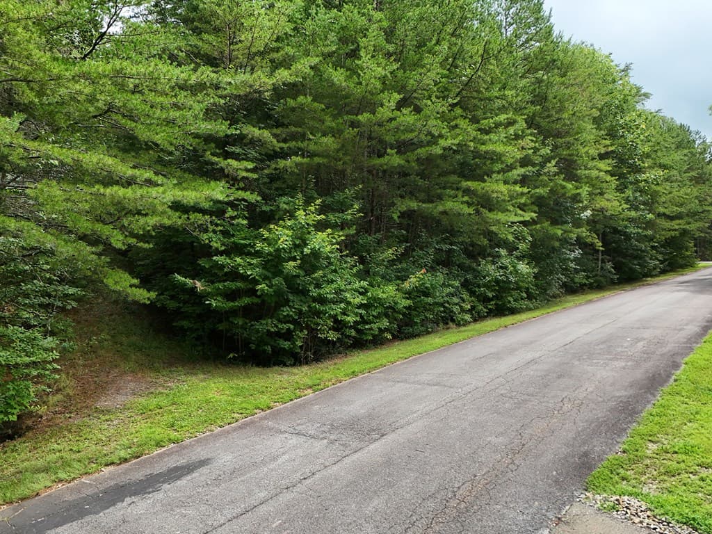 LOT 5 East Ridge Lane, Ellijay GA 30540 - Photo