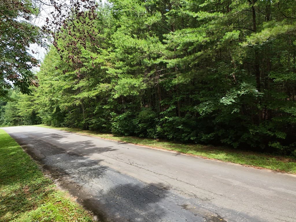 LOT 5 East Ridge Lane, Ellijay GA 30540 - Photo