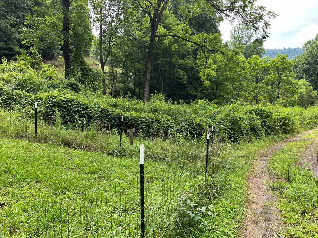 00 Bates Creek Road, Murphy NC 28906 - Photo