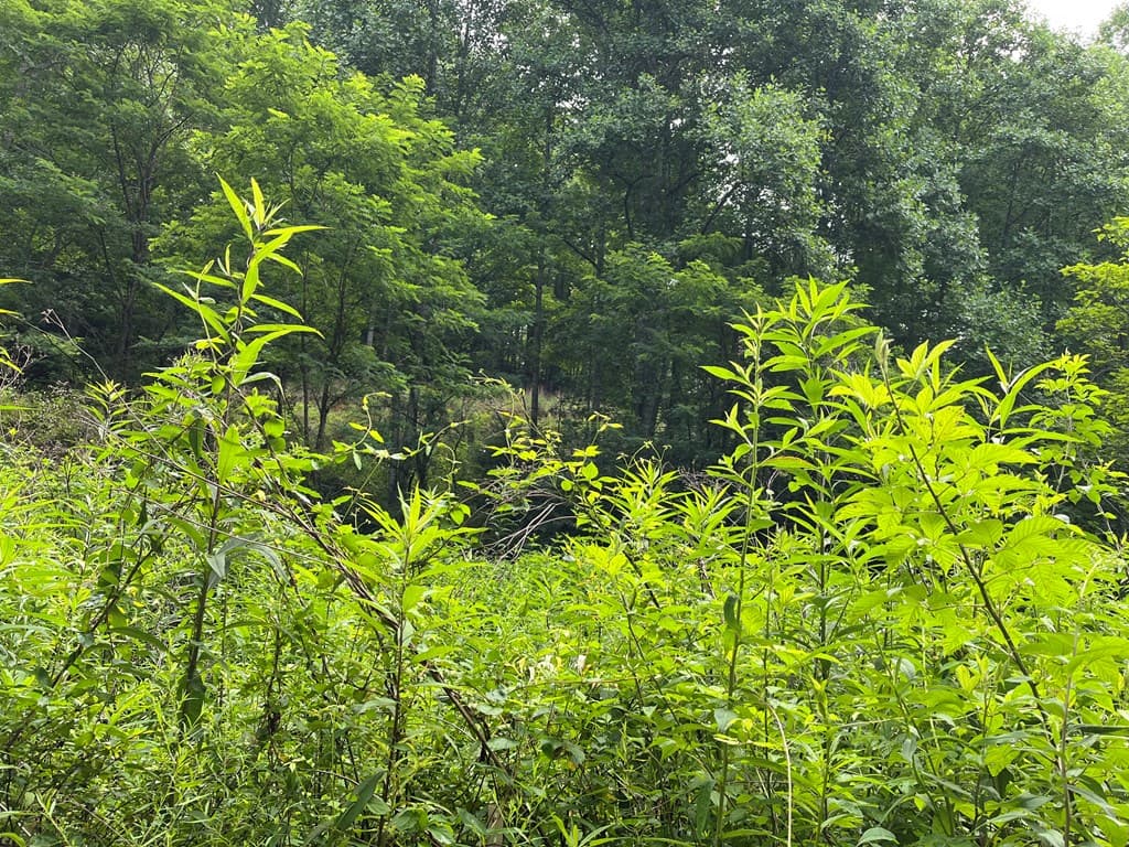 00 Bates Creek Road, Murphy NC 28906 - Photo