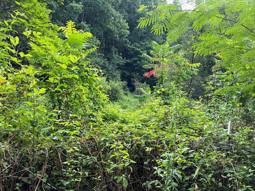 00 Bates Creek Road, Murphy NC 28906 - Photo