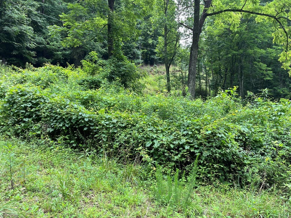00 Bates Creek Road, Murphy NC 28906 - Photo