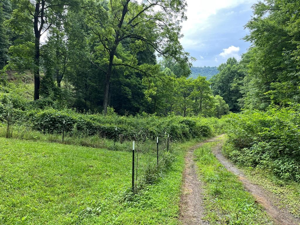 00 Bates Creek Road, Murphy NC 28906 - Primary photo