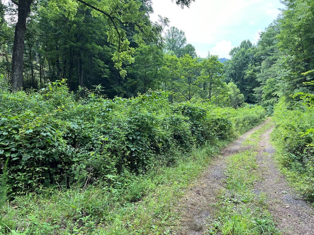 00 Bates Creek Road, Murphy NC 28906 - Photo