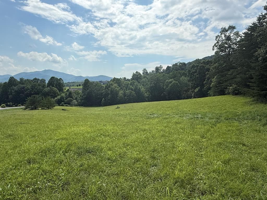 Lot 52 The Preserve At Cc, Young Harris GA 30582 - Photo