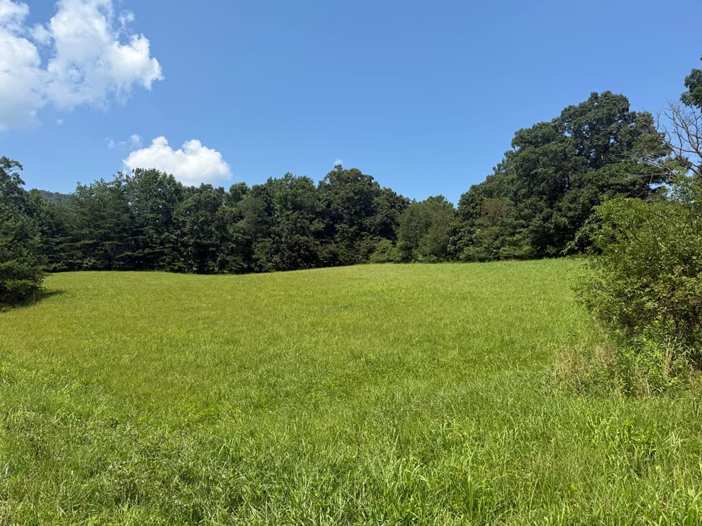 Lot 52 The Preserve At Cc, Young Harris GA 30582 - Photo