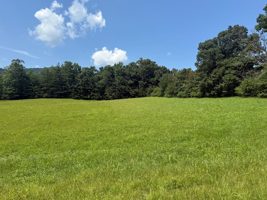 Lot 52 The Preserve At Cc, Young Harris GA 30582 - Photo